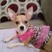 Mack Wells - Facebook