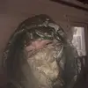 wolfmack82 - @wolfmack1982 - TikTok