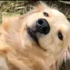 💗Ash💗 - @ash.mackenzie596 - TikTok