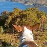 Mackenzie Baird - @whiskymouse17 - Instagram