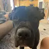 Makenzie Baird - @makenzie_baird - TikTok