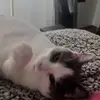 Mackenzie Bartha - @mackenzie.bartha - TikTok