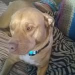 Mackenzie Benedict - @jojo13464 - Instagram