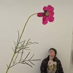 MacKenzie Bourgeois - Facebook