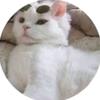 Mackenzie Boyd - @l0velynnme - TikTok
