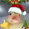 Kenzie Bragg - @kenzie.bragg4 - TikTok