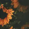 mackenziebruner36 - @mackenziejade_610 - TikTok
