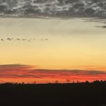 Mackenzie Bryan - @grace_in_focus23 - Instagram