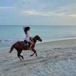 Mackenzie - @mackenzie_burk - Instagram