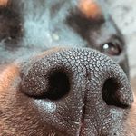 Mackenzie Burklund - @mackenzie_burklund - Instagram