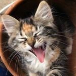 Mackenzie Burnett - @mackenzie.burnett.7 - Instagram