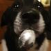 Mackenzie Burnett - Facebook