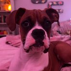 Mackenzie Cagle - Facebook