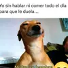 Mackenzie Castillo - @mackenzie.castill2 - TikTok