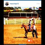 Mackenzie Chapman - @macchap12 - Instagram
