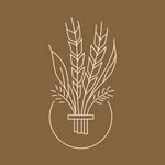 MacKenzie Clarke - @wheatandwillowsourdough - Instagram