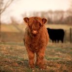 McKenzie Clough - Facebook