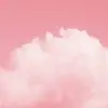 mackenzie combs300 - @mackenziecombs7 - TikTok