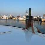 Mackenzie - @mackenzieconley_ - Instagram