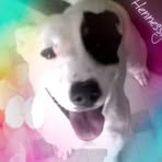 Mackenzie Hennessy Corrigan - Facebook