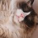 Mackenzie Crane - Facebook