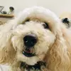 Kenzie - @mackenziedancer44 - TikTok
