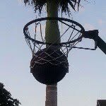 Mackenzie Darby - @mackenzied_netball - Instagram