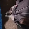 Mackenzie Decker - @keznie_1014 - TikTok