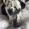 Dee Mackenzie - @dee.mackenzie - TikTok
