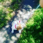 dimitri mckenzie - @dimitri_foxy - Instagram