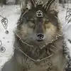 mackenziedowell60 - @mackenziedowell60 - TikTok