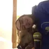 mackenzie duncan - @mackenzieduncan7 - TikTok