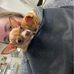 Mackenzie Smith-Edmondson - Facebook