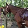 Mackenzie Eslinger - @mackenzieeslinger - TikTok