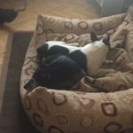 Mackenzie_Emery11 - @mackenzie_emery11 - Instagram