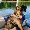 MacKenzie Emery - @kenzi.me - TikTok
