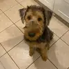 Mackenzie - @mackenzie.ferguson - TikTok