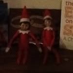 Mackenzie Fitzpatrick - @buddy_charlie_sparkle_jingle - Instagram