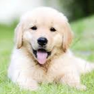 mackenzieframe1 - @random.acc8994 - TikTok