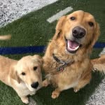 Mackenzie Gentry - @dawg.gone.cute - Instagram