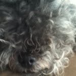 Mackenzie Goebel - @gizmomg - Instagram