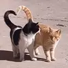 mackenziegoff0 - @mackenziegoff0 - TikTok