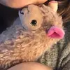 mackenzie.goff1008 - @kenziedoo12345 - TikTok