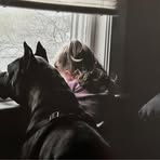 Mackenzie Goode - Facebook
