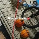 Mackenzie Malerie - @_itz.kenzie._ - Instagram