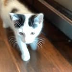 Mackenzie Roach - @mackenzieroach09 - Instagram