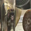 mackenzieryannnn - @mackenzieryannnn - TikTok