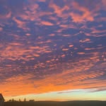 Mackenzie sheldon - @p.eachy18 - Instagram