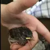 Makenzie Sheldon - @makenzie.sheldon.06 - TikTok