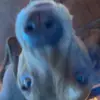 kenzie - @mackenzie.ossinger - TikTok